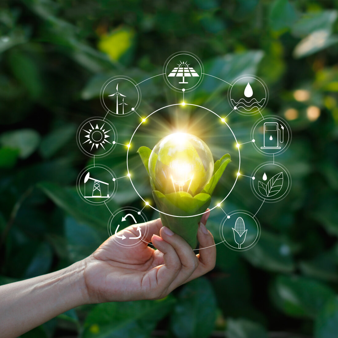 Zehnder_ALL_Energieeffizienz Hand holding light bulb against nature on green leaf with icons energy sources for renewable, sustainable development. Ecology concept. Elements of this image furnished by NASA.